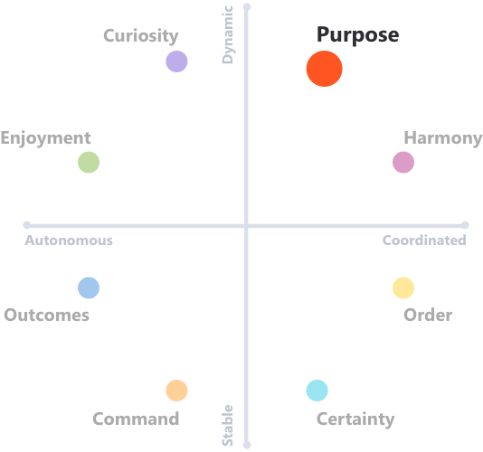 Assessment Report | Talent Dashboard